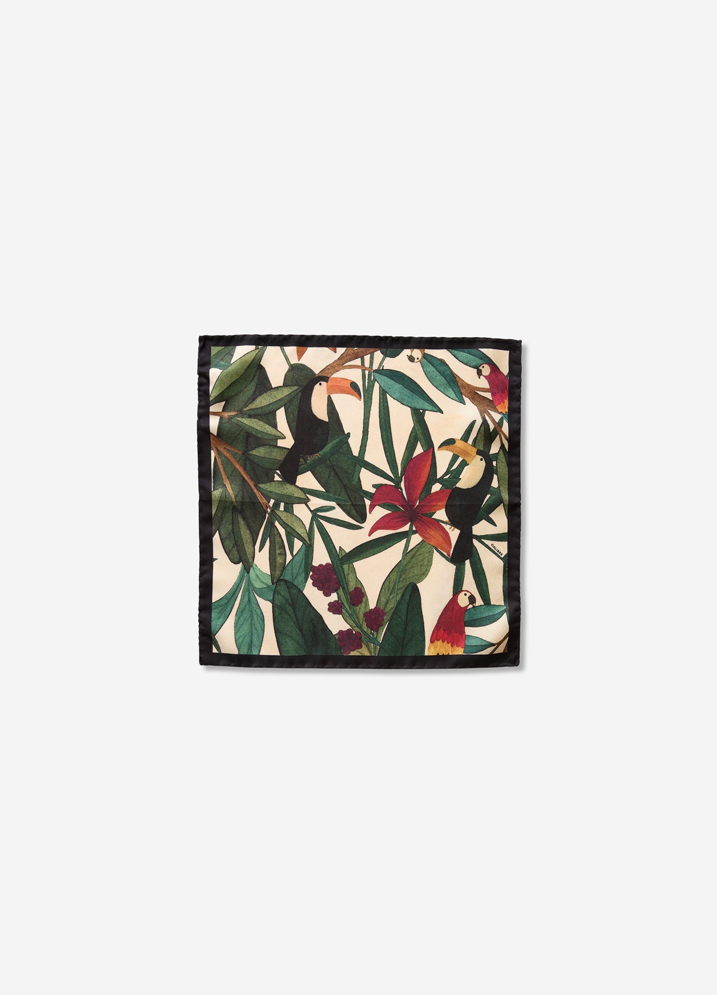 Toucan Forest Pocket Square Green Combo