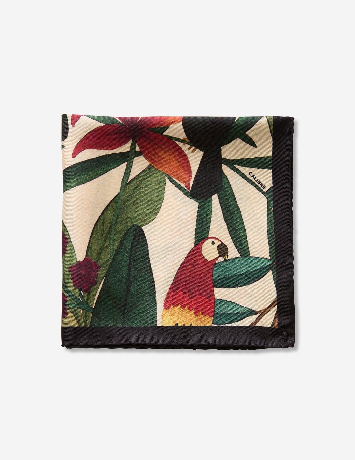 Toucan Forest Pocket Square Green Combo